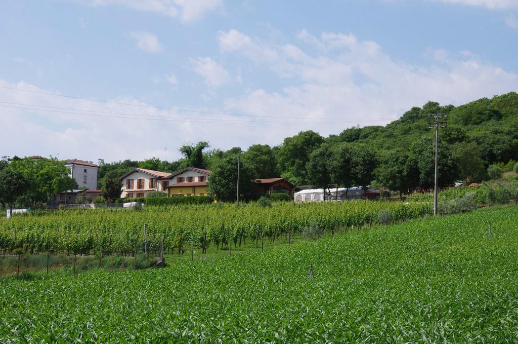 Agriturismo Casa Villi Solferino Exteriör bild
